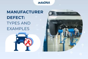 Manufacturer Defect Types and Examples