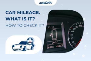 Car Mileage. What Is It How to Check It